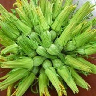 Hạt giống bí siêu bông