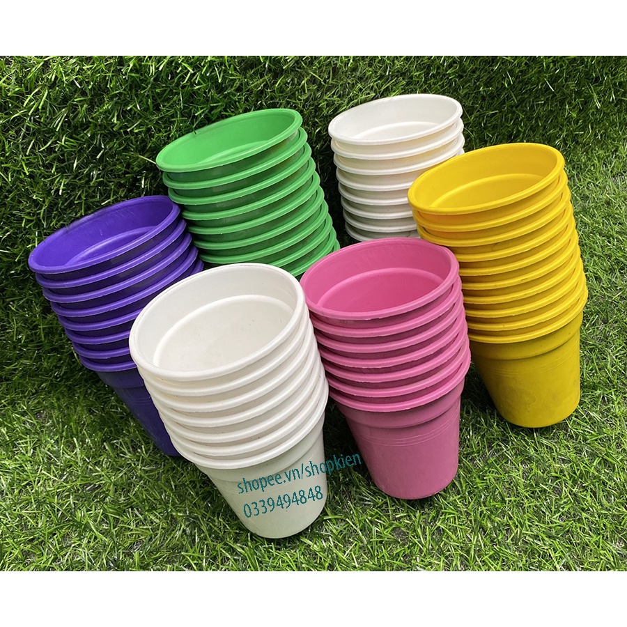 Chọn màu - Chậu nhựa nhiều màu 8cm trồng cây sen đá cây cảnh mini