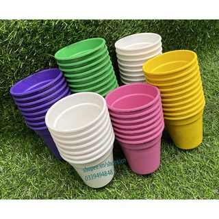 Chọn màu - Chậu nhựa nhiều màu 8cm trồng cây sen đá cây cảnh mini