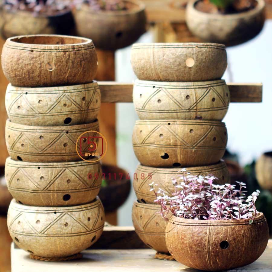 IHàng đẹpI Set 10 Gáo dừa TRỒNG LAN CÂY CẢNH [Coconut planter set (set of 10)]