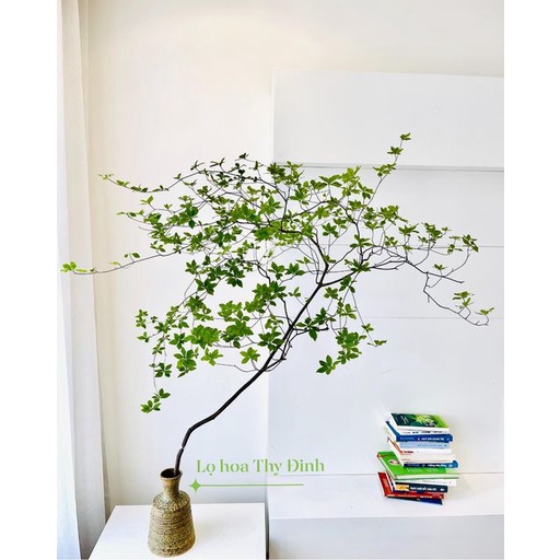 Cành Thạch Nam giả 85cm loại 1 giống thật 99%  - SkyShare Decor
