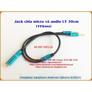 Jack chia micro & audio LY 30cm