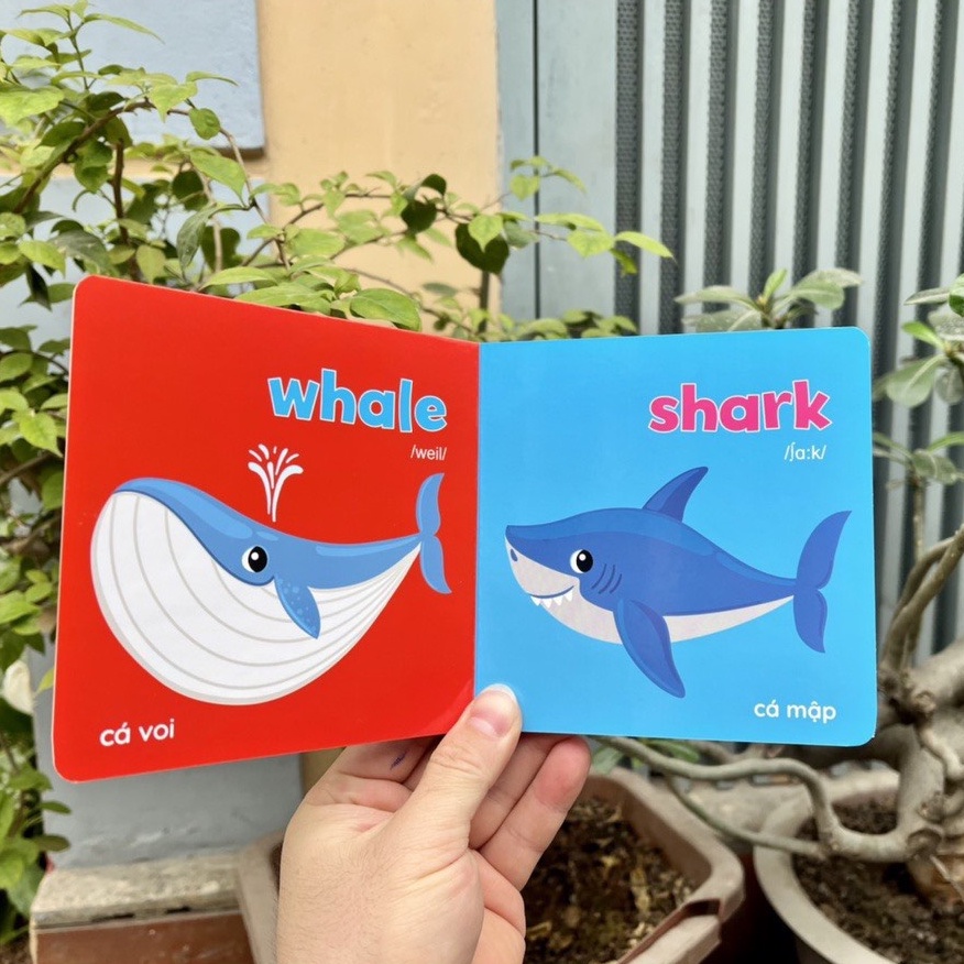 Sách - Bộ Bìa Cứng Thư Viện Hình Ảnh Đầu Tiên Cho Bé Về Thế Giới Xung Quanh Baby' First Picture Book (8 Cuốn)