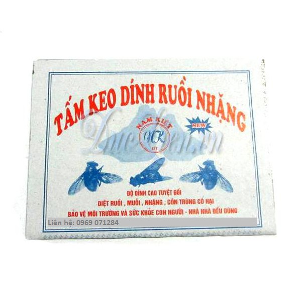 Combo 10 miếng dính ruồi nhặng