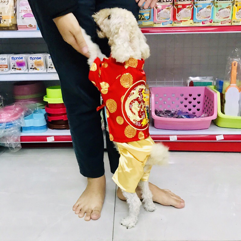 ÁO CHÓ MÈO CÓ SIZE LỚN - ÁO DÀI THÊU LONG PHỤNG