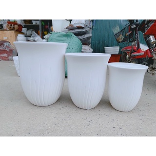 Chậu trắng trồng cây trong nhà hình lá cỏ