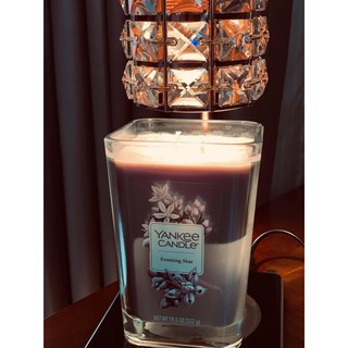 NẾN YANKEE ELEVATION EVENING STAR SIZE L