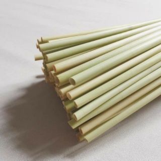Combo 300 ống hút CỎ BÀNG