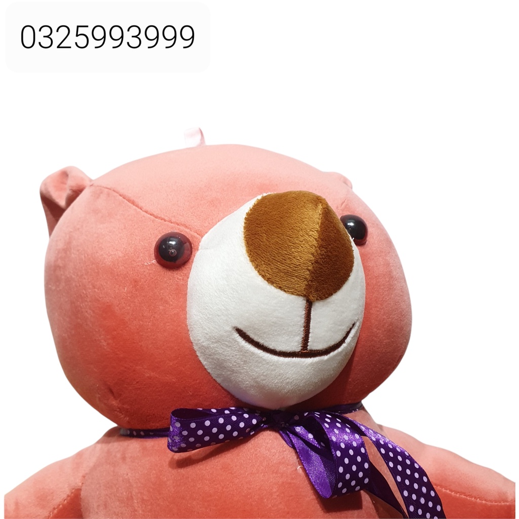 Gấu bông, Gấu Teddy mịn 60cm mẫu thú nhồi bông siêu cute hàng cao cấp mềm mịn - Gấu Xinh