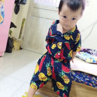 Bộ hoa quả lanh lụa cho gia đình