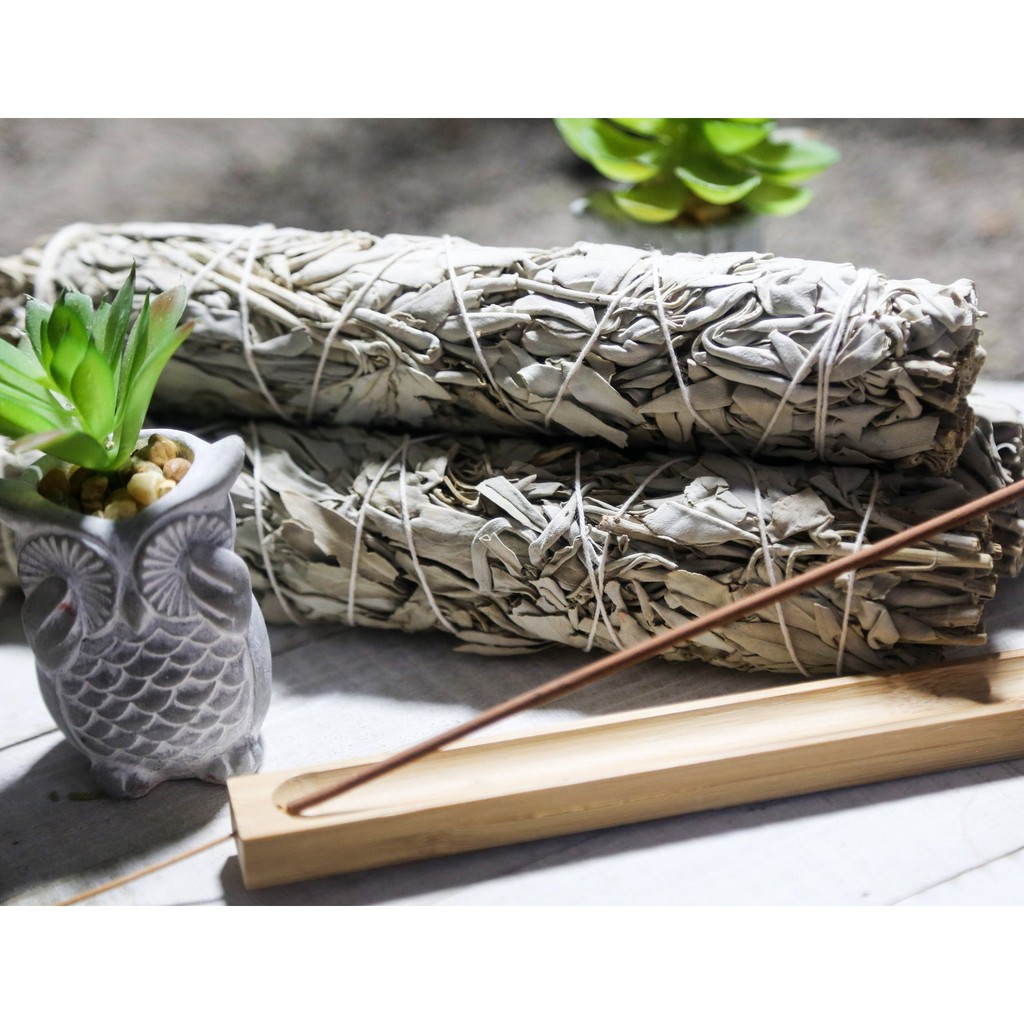 XÔ THƠM TRẮNG - WHITE SAGE Size 23cm- 25cm Thanh tẩy bản thân, nhà cửa cơ bản - THẢO MỘC XÔNG NHÀ