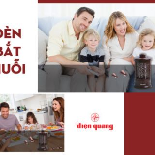 Đèn bắt muỗi điện quang model 03 BR
