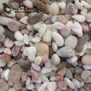1 kg đá sỏi hỗn hợp size trung dùng trang trí sân vườn hố cá