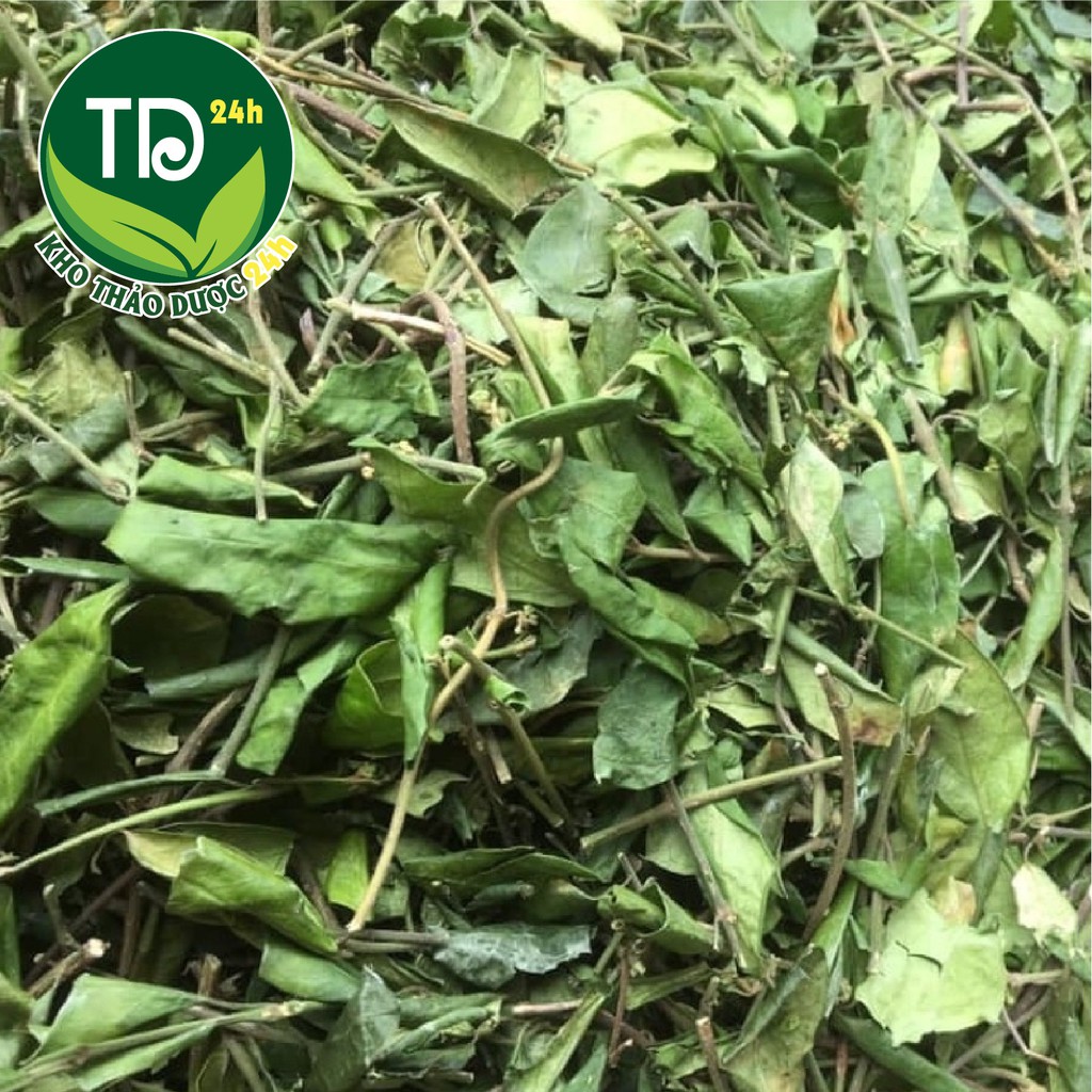 [1kg] Dây thìa canh Thái Nguyên trị mỡ máu cao, tiểu đường cực tốt I Farm24h