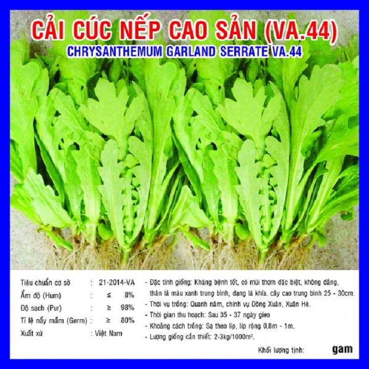 Hạt giống cải cúc gói 20 gran xuất xứ Việt Nam