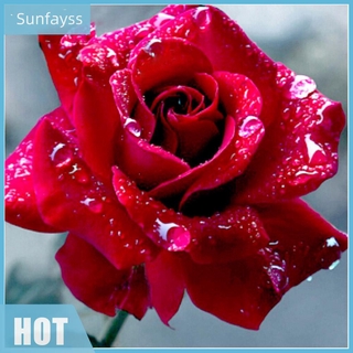 Tranh Thêu Chữ Thập Hình Hoa Hồng Trang Trí Nội Thất