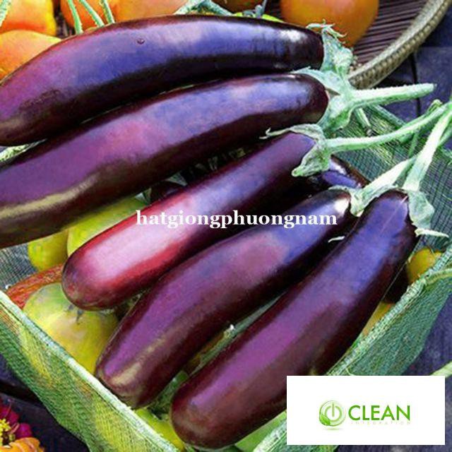 Hạt giống Cà Tím Dài F1 1gram