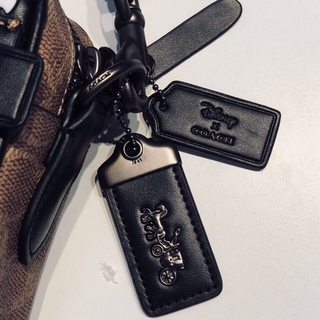 🆘RẺ VÔ ĐỊCH🆘Túi Coach Dylan x Disney 2018
