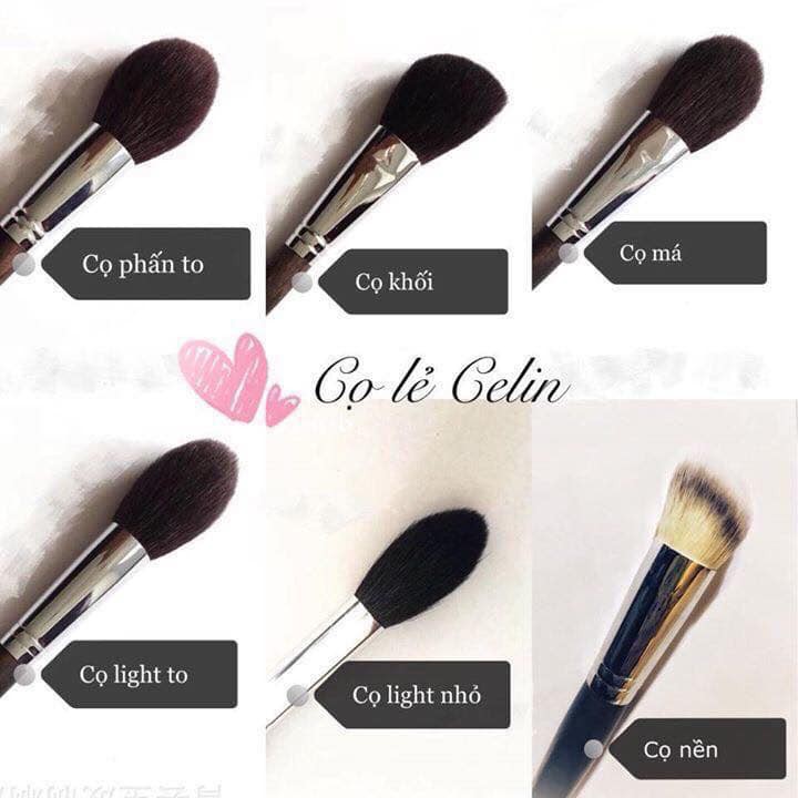 Cọ lẻ Celin