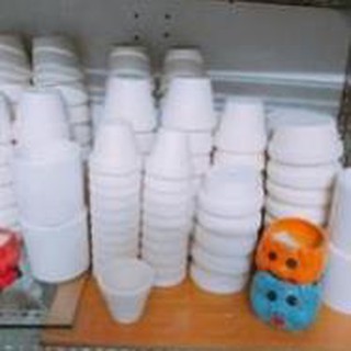 Chậu Trồng Sen Đá