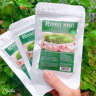 Rong Nho Tách Nước Siêu Rẻ - Công Nghệ Tách Nước Tiêu Chuẩn Nhật Bản +