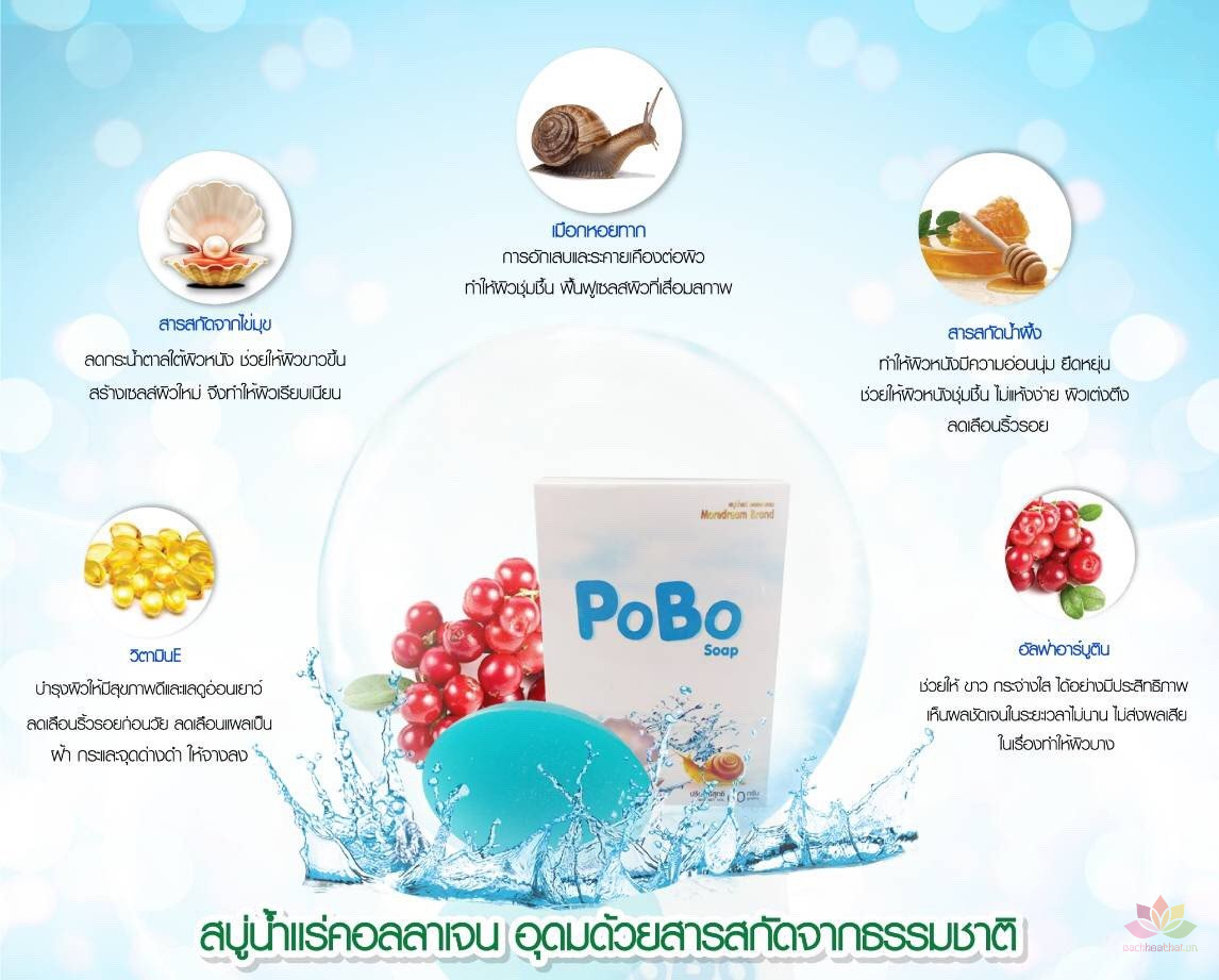 Xà phòng trắŉg da ṫrị ņám Pobo Soap Thái Lan