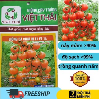 Hạt giống F1VT14 giống cà chua bi Việt Thái (Combo 5 gói)