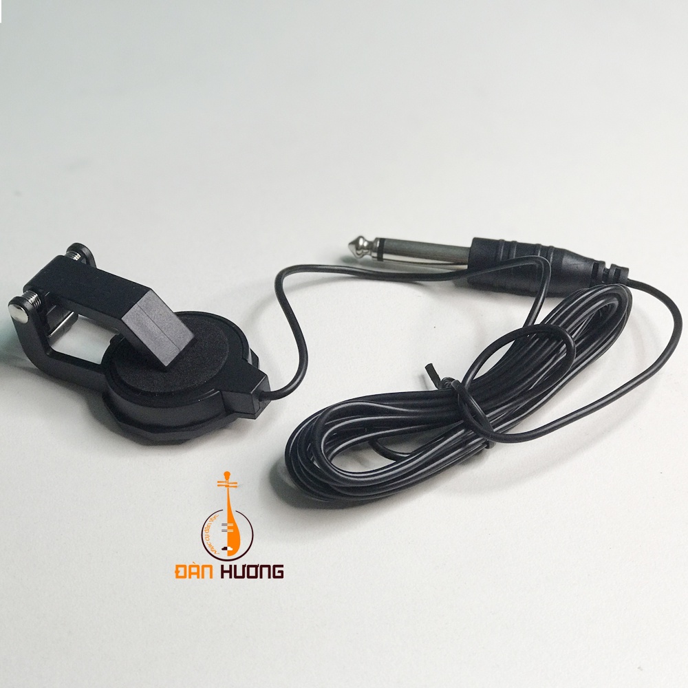 Mic dành cho đàn nguyệt