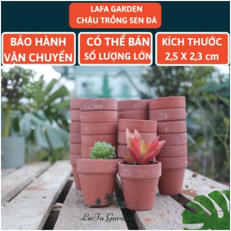 Chậu đất nung LAFA 1 cái, đặc biệt chuyên trồng cây sen đá