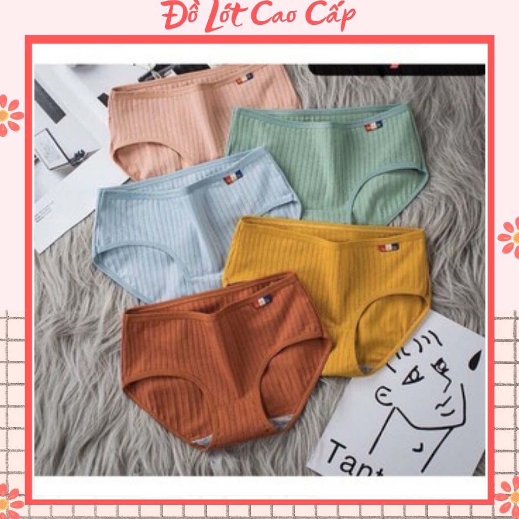 Quần Lót Nữ  FREESHIP  Quần Chíp Nữ Cotton Sợi Tre Có Màng Lót Kháng Khuẩn