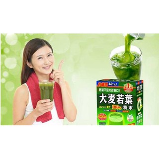 NẦM LÚA MẠCH NON BARLEY GRASS NHẬT