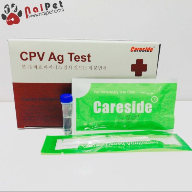 Que test bệnh Parvo, Care trên chó