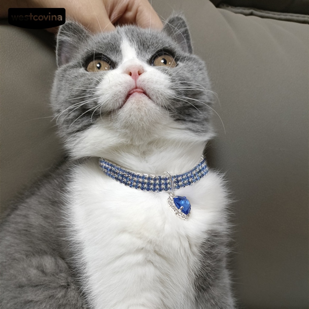 Vòng Cổ Mặt Hình Trái Tim Tròn Chống Gỉ Làm Phụ Kiện Chụp Ảnh Cho Mèo Cưng