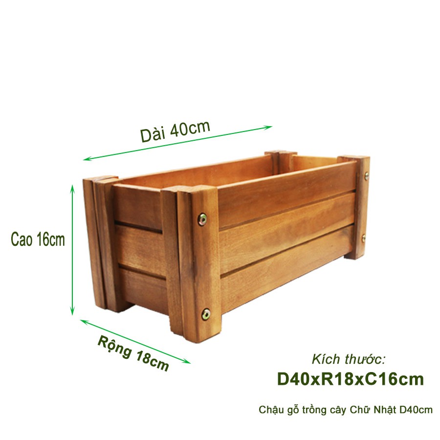 Chậu gỗ trồng cây, chữ nhật, D40xR16xC16cm, gỗ Tràm chịu nước, tặng 5 gói dưỡng hoa tươi lâu |Greenhome