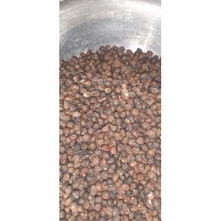 100gram hạt bông gòn giống