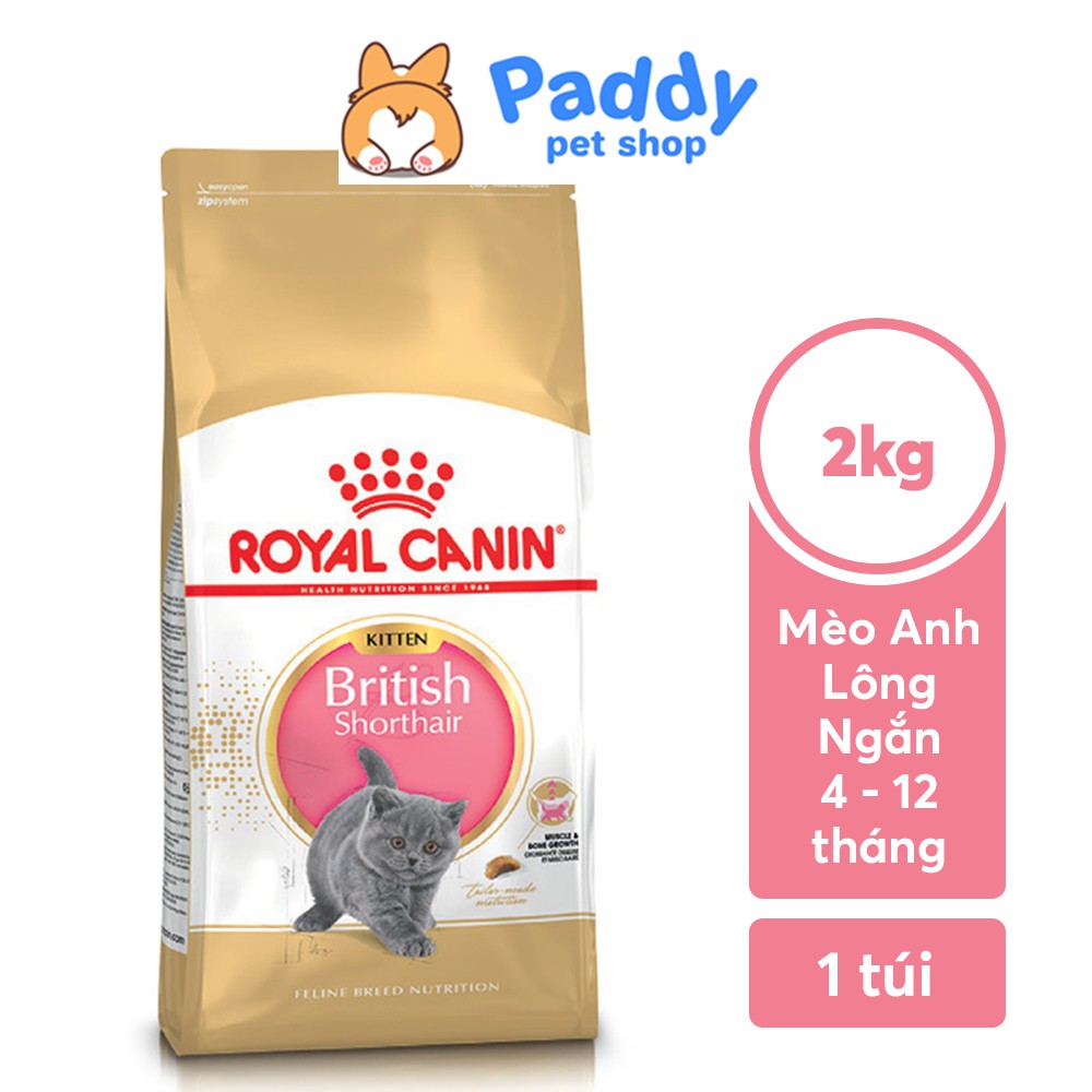 [Mã PET50 giảm 10% - tối đa 50K đơn 250K] [2kg] Hạt Cho Mèo Con Anh Lông Ngắn Royal Canin British Shorthair Kitten