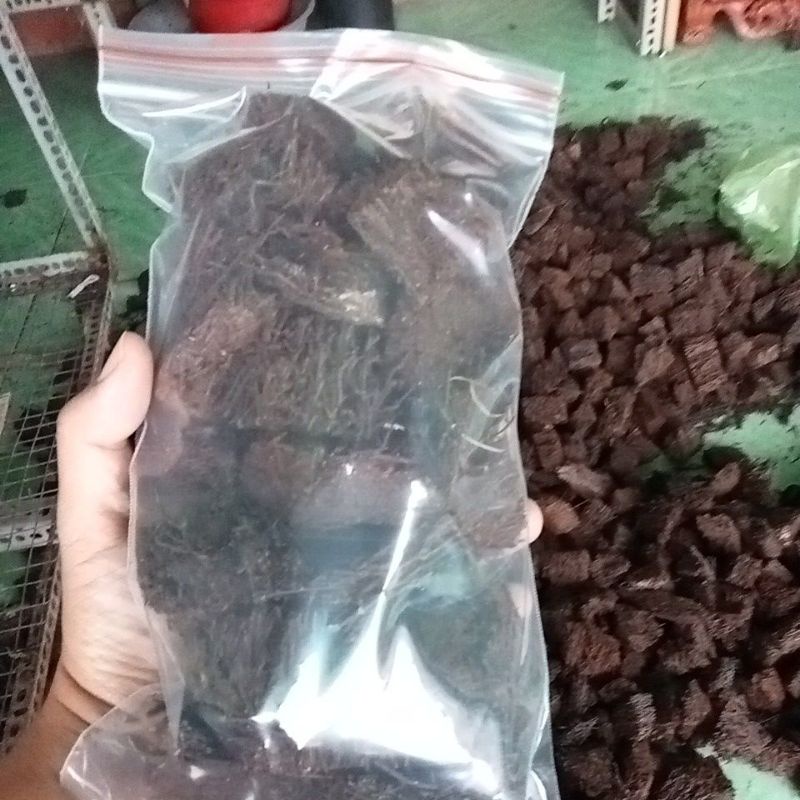 Dớn bảng miếng nhỏ