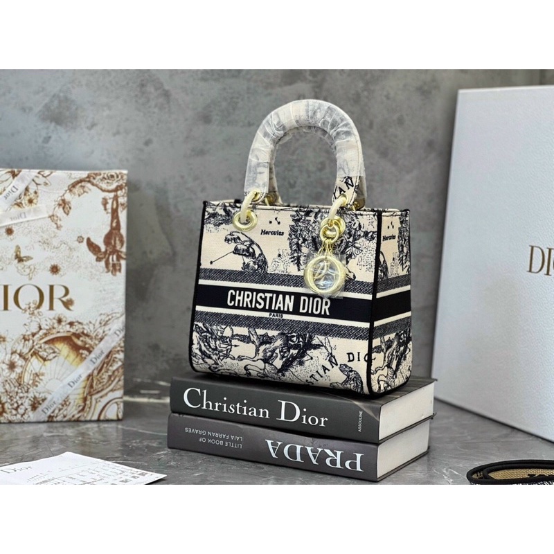 Medium lady dior bag spsl