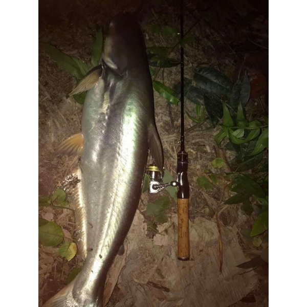 Cần câu lure ul chuyên cảm giác siêu bền