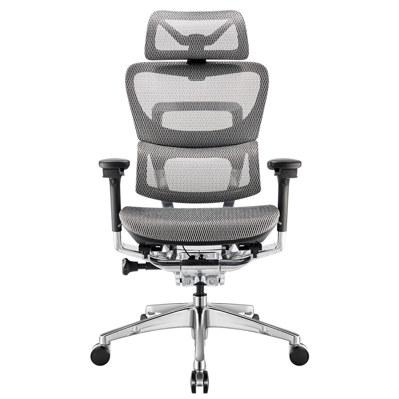 Ghế Công Thái Học Ergonomic Ergoup Fly Pro Xám