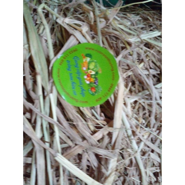 Rơm Rạ Khô Che Phủ Cho Cây, Trang Trí Sân Vườn, Làm Đồ Handmade, Lót Chuồng,Trồng Nấm, Cung Cấp Mùn Cho Đất.