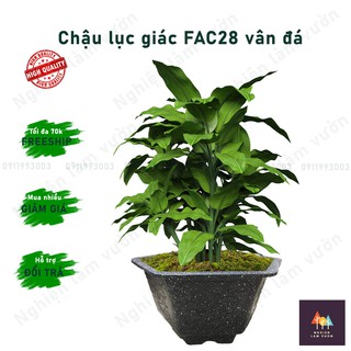 Chậu lục giác giả đá trồng cây mã CN08FAC28 kt 27,5x18cm