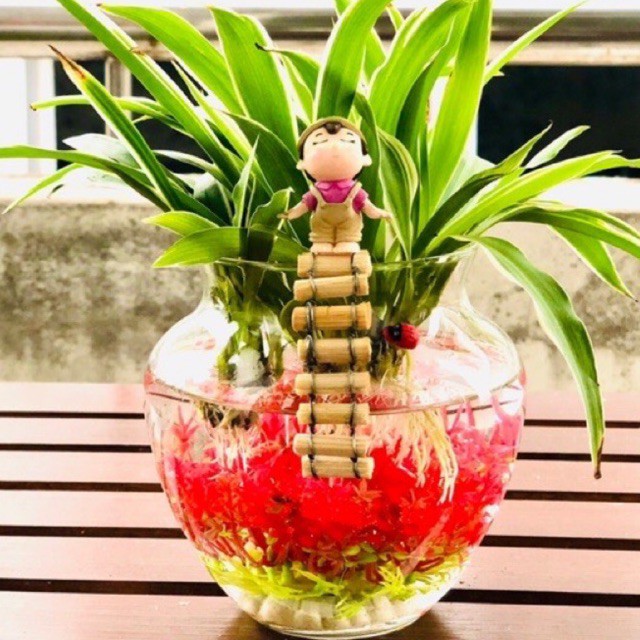 combo 4 bể cá mini thủy tinh, chậu thủy tinh, hồ cá D12 x H13