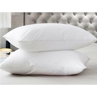 Combo 2 ruột gối nằm hơi tốt 50*70 bền đẹp