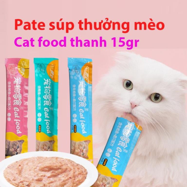 STHA- (Lẻ 1) Pate Thanh Cat food &amp; Ciao dạng Gel cho thức ăn dạng ướt cho mèo đồ ăn vặt mèo snack súp thưởng