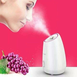 Máy xông mặt hoa quả