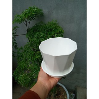 5 cái chậu trồng hoa phi 15cm cao 13cm kèm đĩa hứng nước