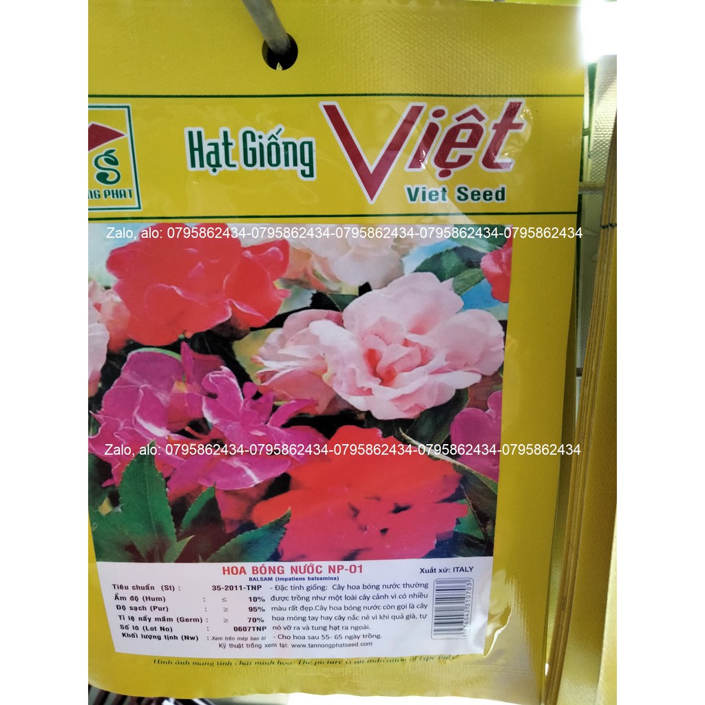 hạt giống hoa bóng nước 0.1gram