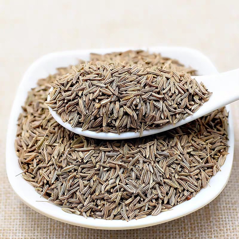 50-100gr Caraway seed/ Hạt thì là Ba Tư/ Hạt Caraway