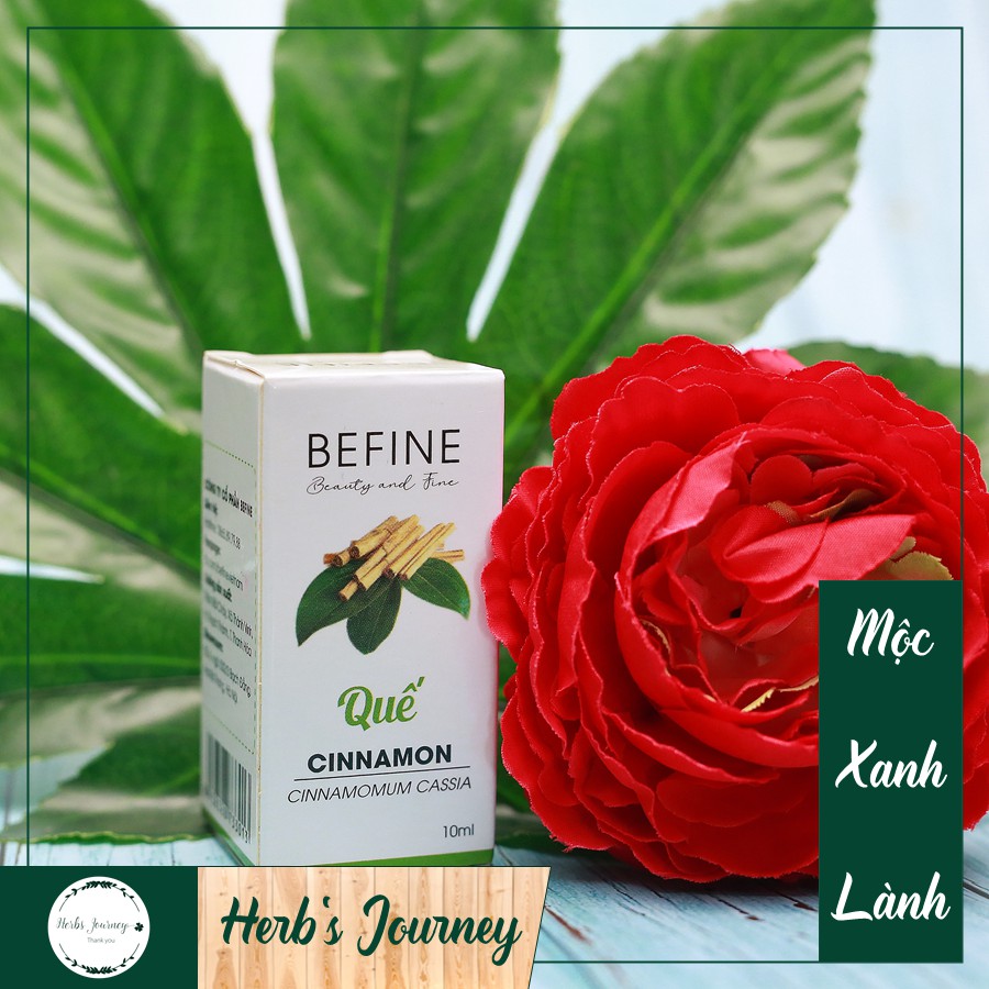 Tinh dầu Quế nguyên chất - BEFINE - Chưng cất tự nhiên - Thơm phòng, giữ ấm